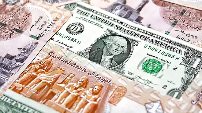 تعويم الجنيه.. هل اقتربت مصر من اتخاذ القرار الصعب؟